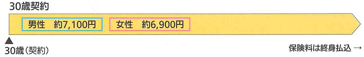 終身タイプ 終身払込タイプの図